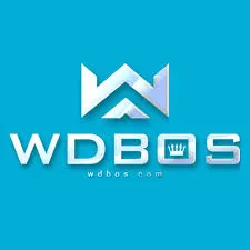 WDBOS - Tantangan Puzzle Menarik untuk Pecinta Game